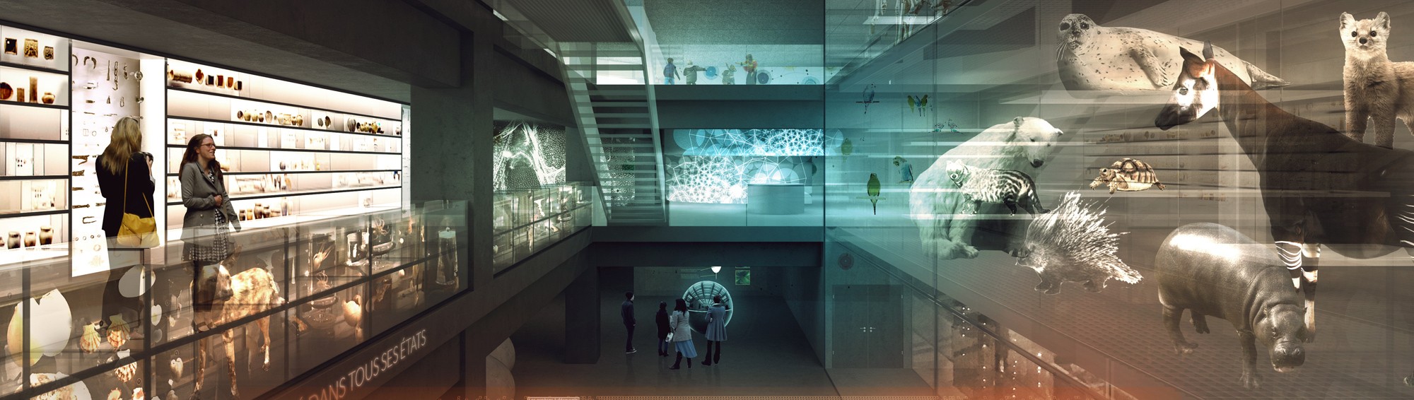 Rénovation Museum d'Orléans (45) - Actualité - Atelier des Cinq Chênes - 3 Atelier des Cinq Chênes a réalisé une partie de la menuiserie intérieure du Museum d'Orléans (45) à partir de bois certifié PEFC : porte, store, équipement de protection et finition en bois.